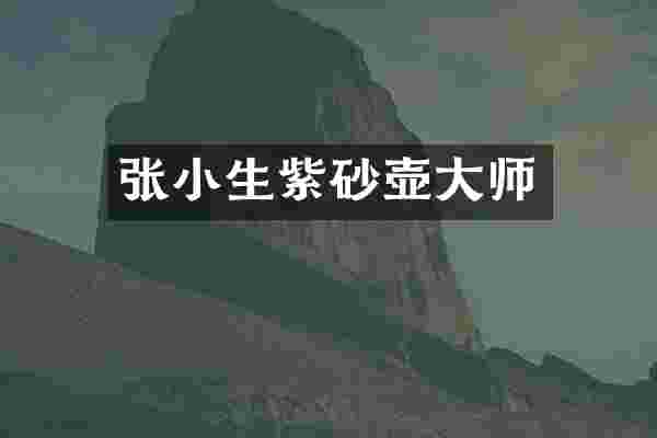 张小生紫砂壶大师