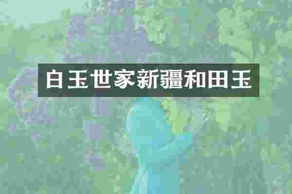 白玉世家新疆和田玉