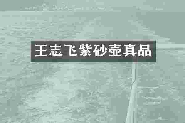 王志飞紫砂壶真品