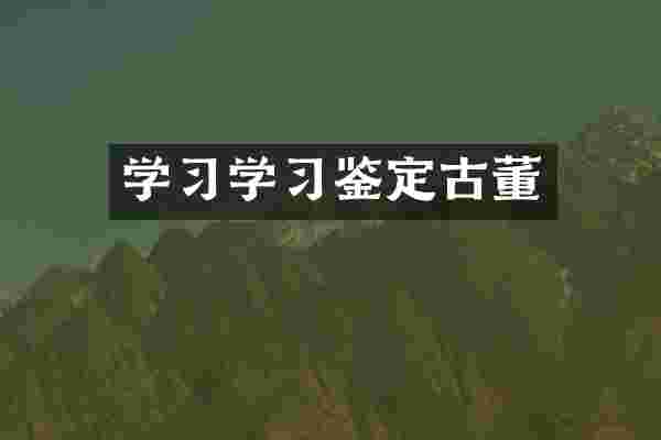 学习学习鉴定古董