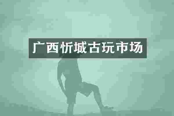 广西忻城古玩市场