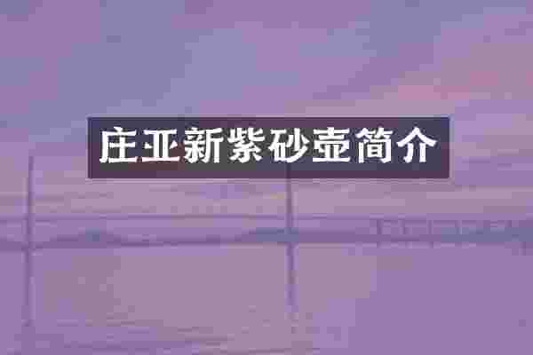 庄亚新紫砂壶简介