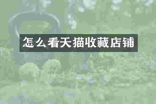 怎么看天猫收藏店铺