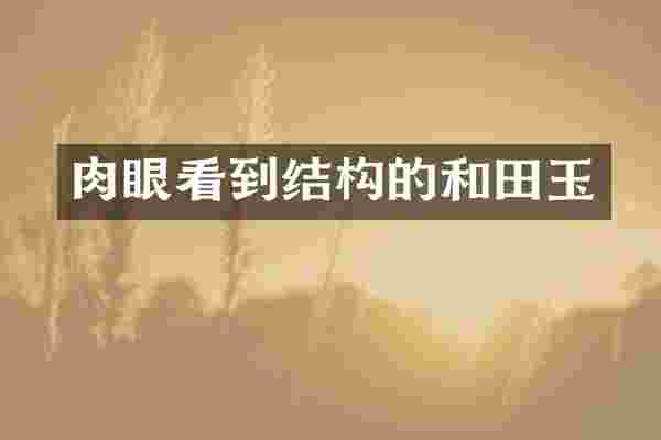 肉眼看到结构的和田玉