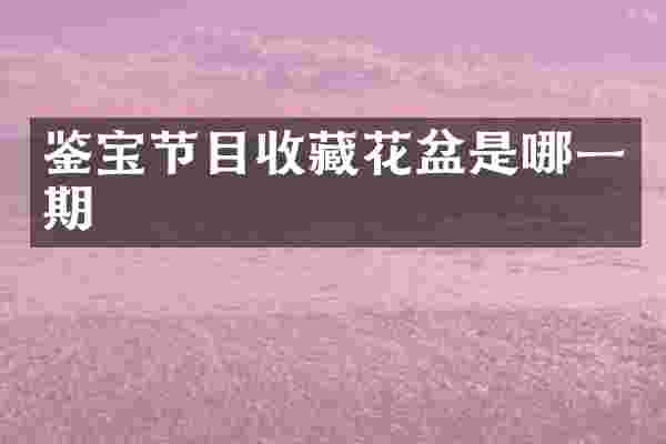 鉴宝节目收藏花盆是哪一期