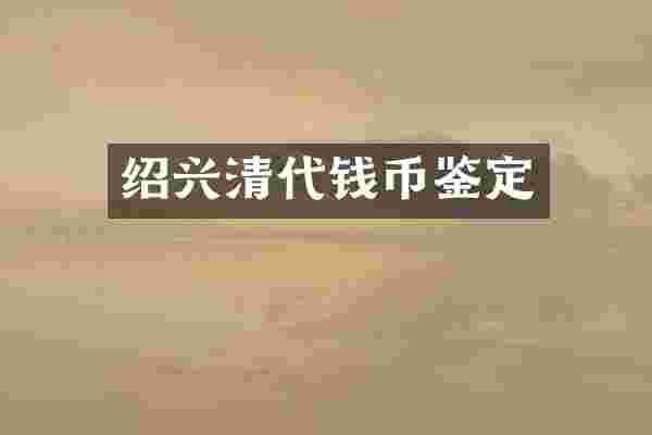 绍兴清代钱币鉴定