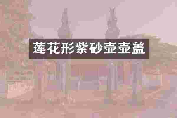 莲花形紫砂壶壶盖