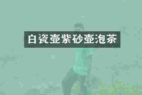 白瓷壶紫砂壶泡茶