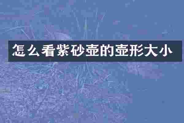 怎么看紫砂壶的壶形大小