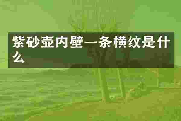 紫砂壶内壁一条横纹是什么