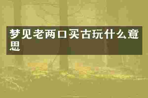 梦见老两口买古玩什么意思