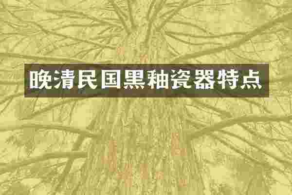 晚清民国黑釉瓷器特点