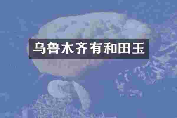 乌鲁木齐有和田玉