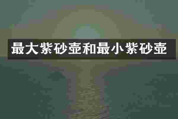 最大紫砂壶和最小紫砂壶