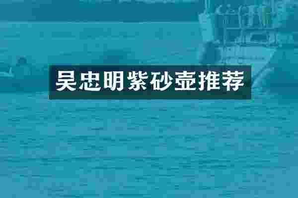 吴忠明紫砂壶推荐