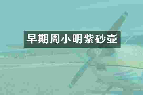 早期周小明紫砂壶