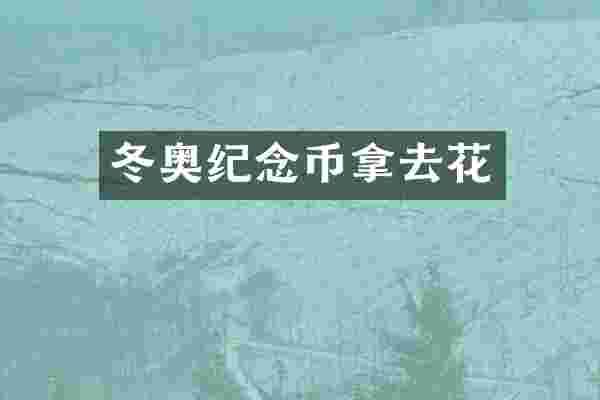 冬奥纪念币拿去花