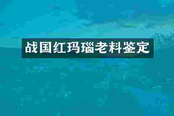 战国红玛瑙老料鉴定