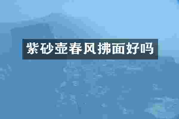 紫砂壶春风拂面好吗