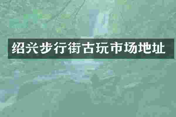 绍兴步行街古玩市场地址