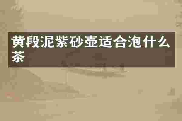 黄段泥紫砂壶适合泡什么茶