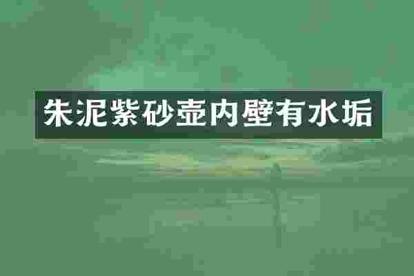 朱泥紫砂壶内壁有水垢