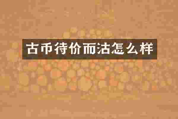 古币待价而沽怎么样