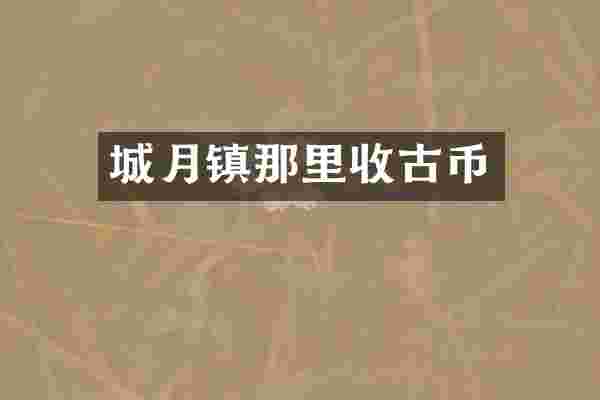城月镇那里收古币