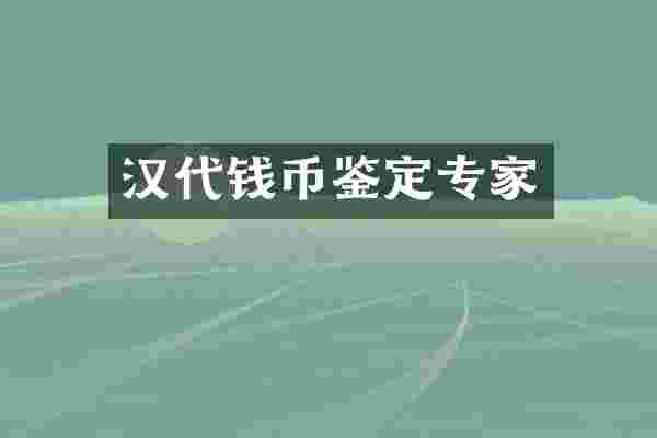 汉代钱币鉴定专家
