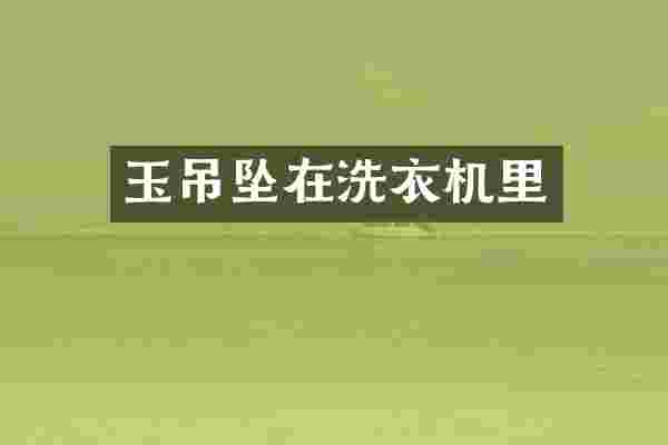 玉吊坠在洗衣机里