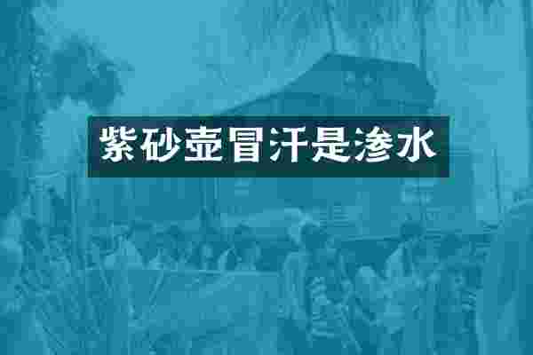 紫砂壶冒汗是渗水
