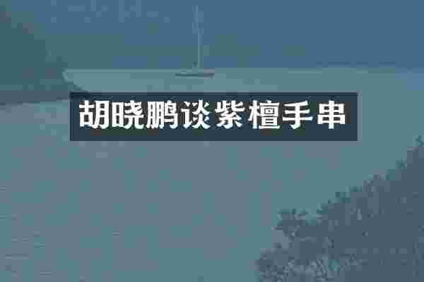 胡晓鹏谈紫檀手串