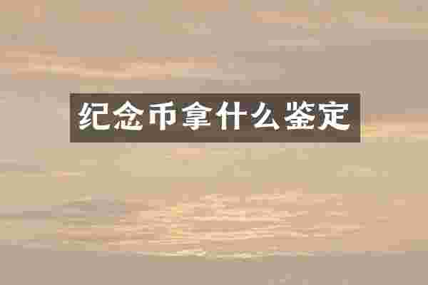 纪念币拿什么鉴定