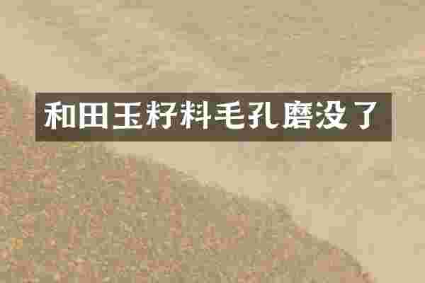 和田玉籽料毛孔磨没了