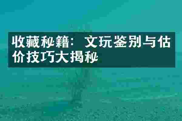 收藏秘籍：文玩鉴别与估价技巧大揭秘