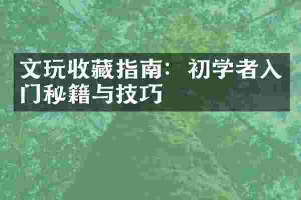 文玩收藏指南：初学者入门秘籍与技巧