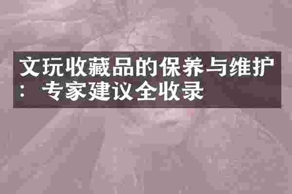 文玩收藏品的保养与维护：专家建议全收录