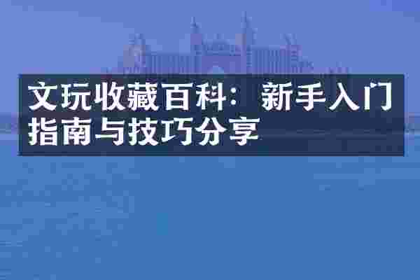 文玩收藏百科：新手入门指南与技巧分享
