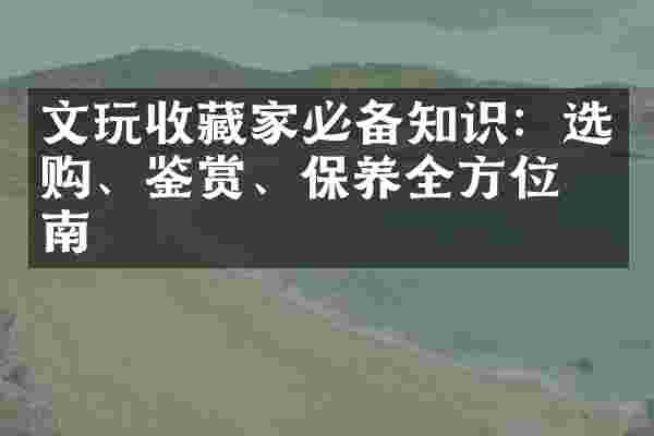 文玩收藏家必备知识：选购、鉴赏、保养全方位指南