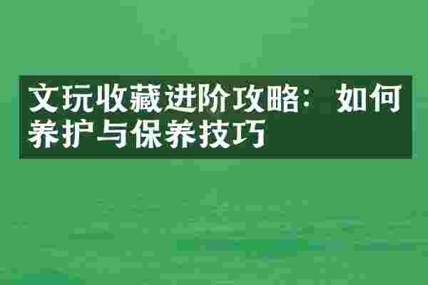 文玩收藏进阶攻略：如何养护与保养技巧