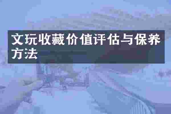 文玩收藏价值评估与保养方法