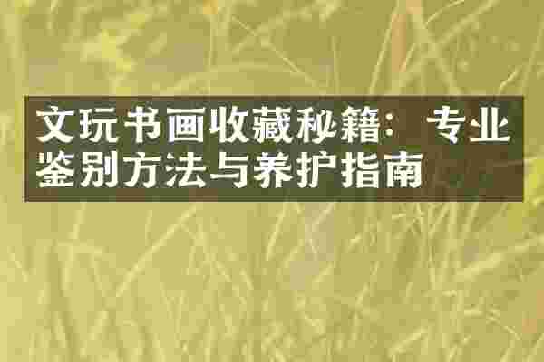 文玩书画收藏秘籍：专业鉴别方法与养护指南