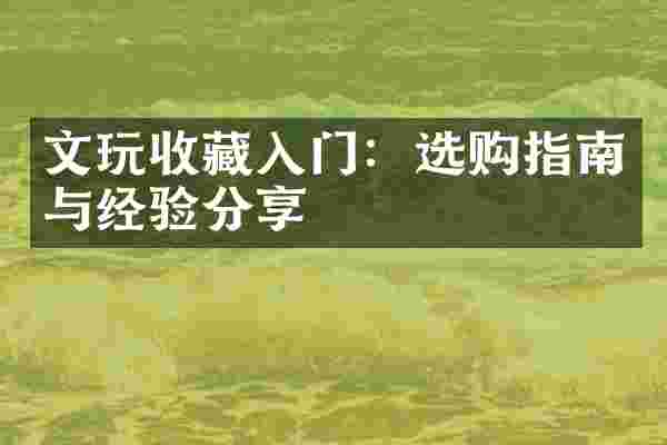文玩收藏入门：选购指南与经验分享