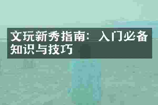 文玩新秀指南：入门必备知识与技巧