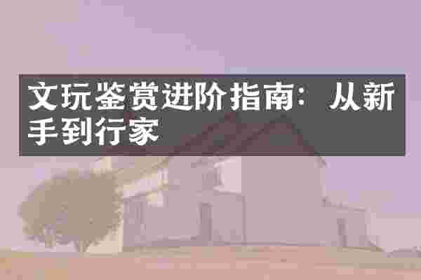 文玩鉴赏进阶指南：从新手到行家