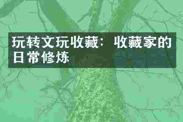 玩转文玩收藏：收藏家的日常修炼