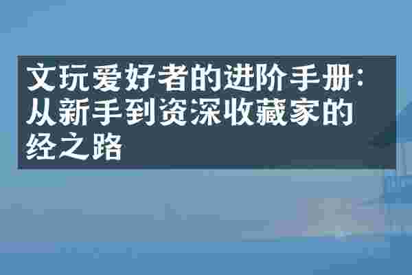 文玩爱好者的进阶手册：从新手到资深收藏家的必经之路