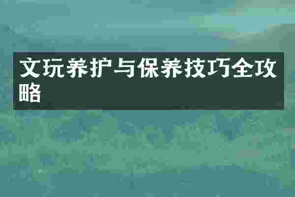 文玩养护与保养技巧全攻略