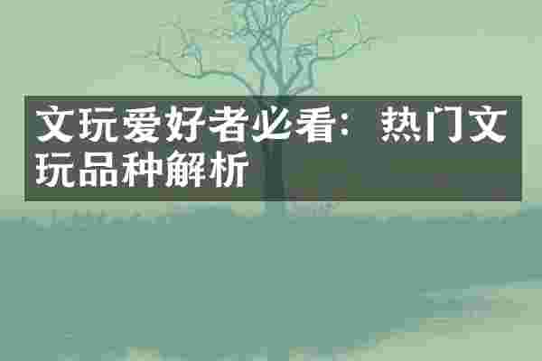 文玩爱好者必看：热门文玩品种解析