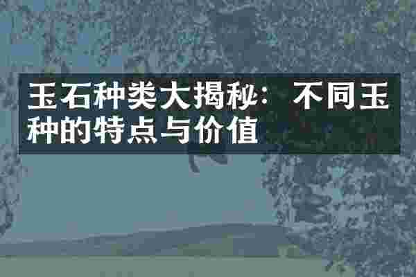玉石种类大揭秘：不同玉种的特点与价值